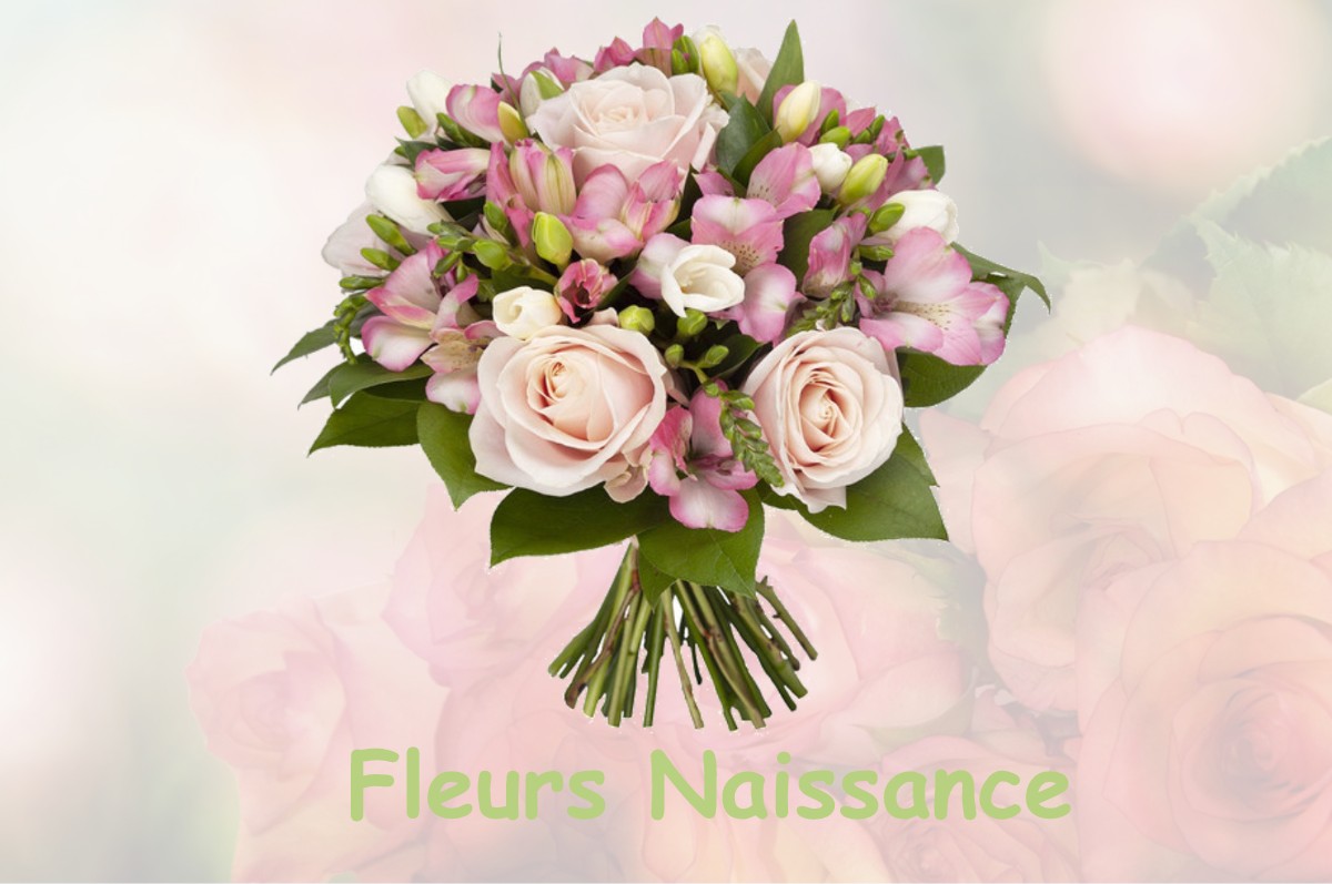 fleurs naissance CASTAIGNOS-SOUSLENS