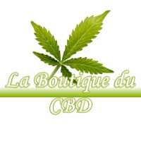 LA BOUTIQUE DU CBD CASTAIGNOS-SOUSLENS 